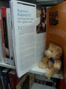 Teddy reading Rapunzel article